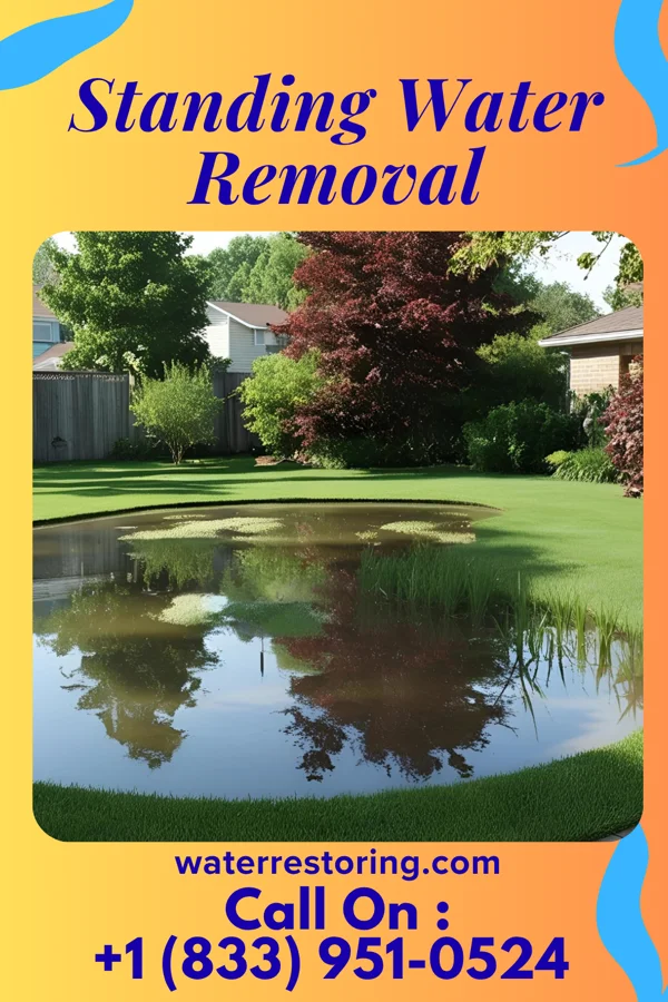 Standing Water Removal in Searcy, AR